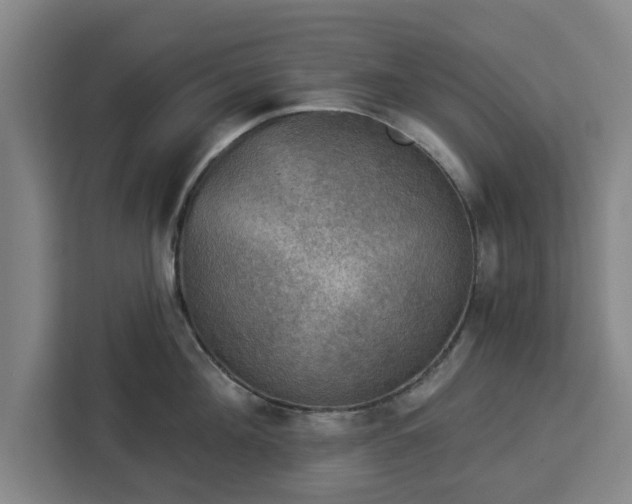 X0000112910908200908311235