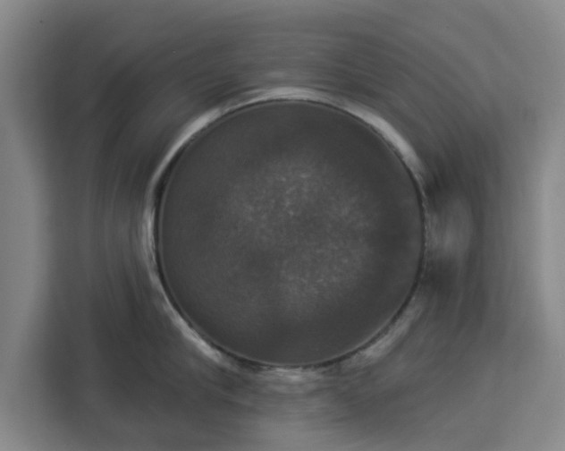 X0000112910910200908311234