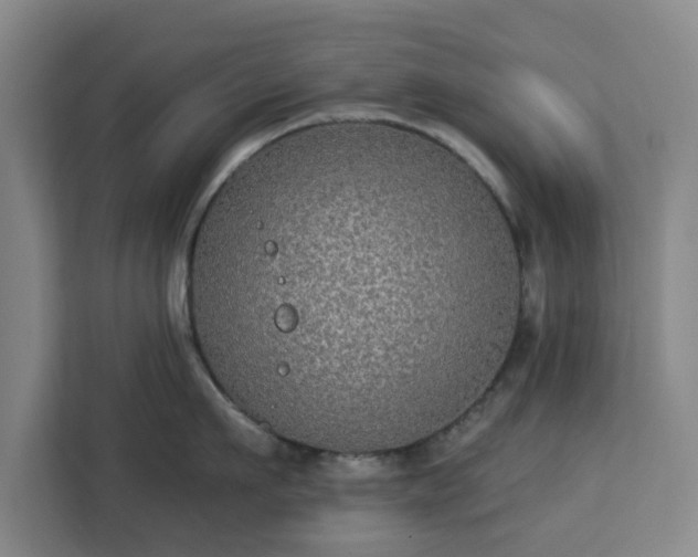 X0000112910911200908311234