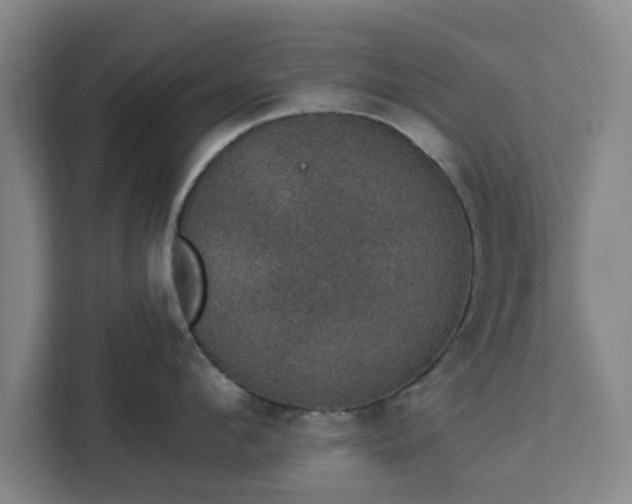 X0000112910912200908311234