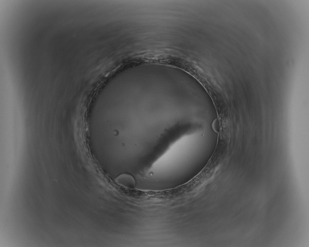 X0000112910913200908311234