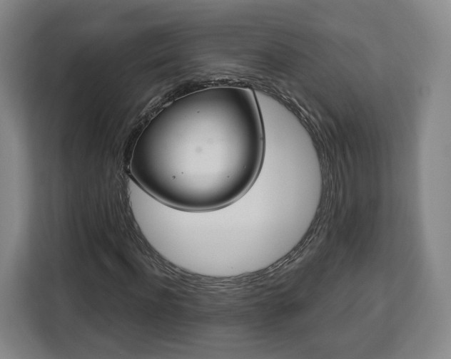 X0000112910916200908311234