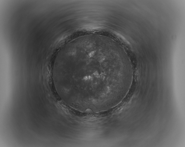 X0000112910917200908311234