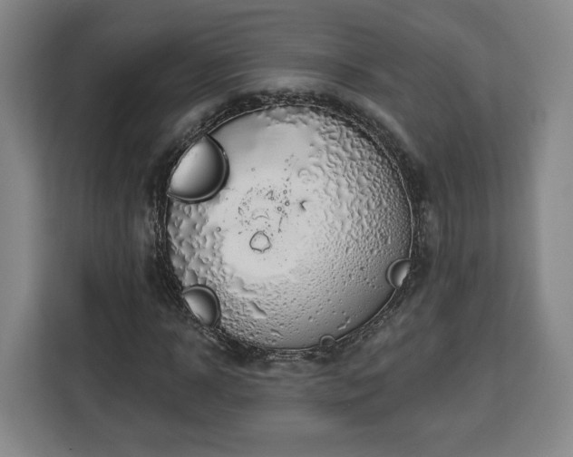 X0000112910918200908311234