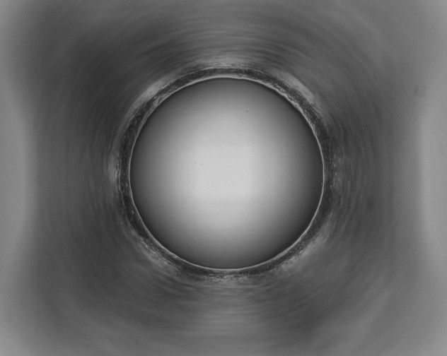 X0000112910922200908311234