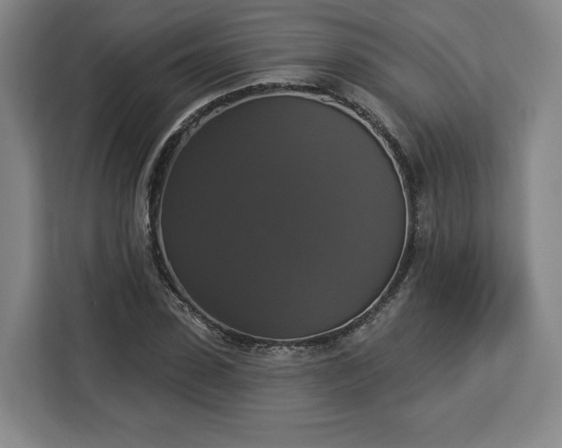 X0000112910923200908311234