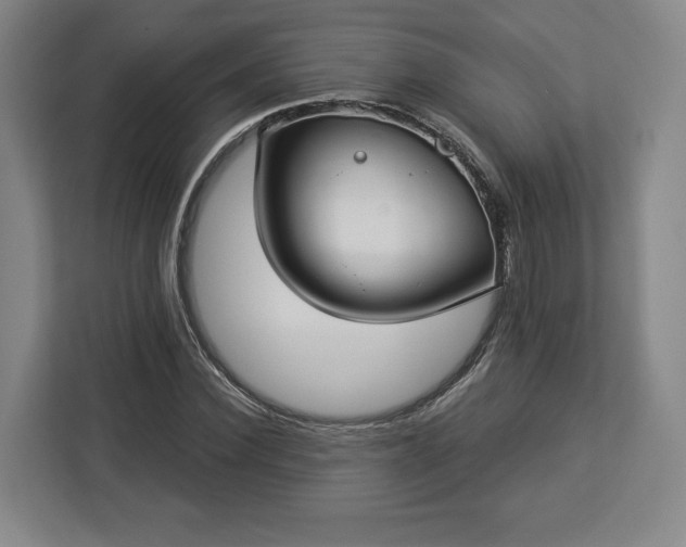 X0000112910924200908311234