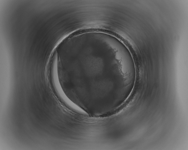 X0000112910925200908311234