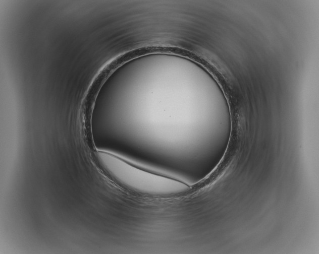 X0000112910926200908311234