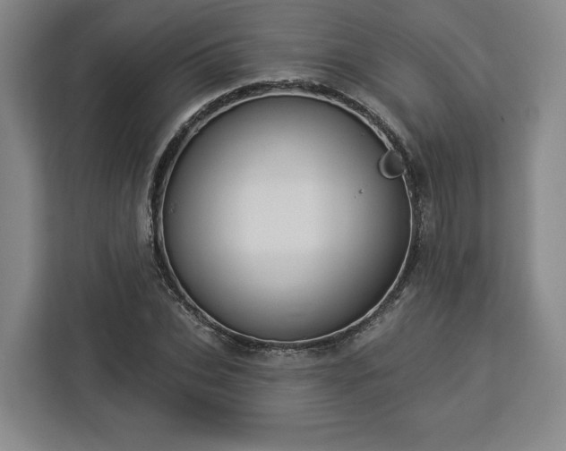 X0000112910927200908311234