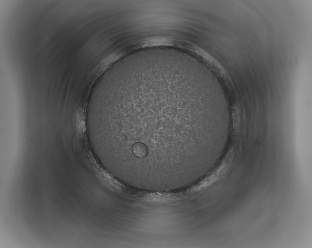 X0000112910929200908311234