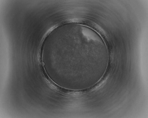 X0000112910930200908311234