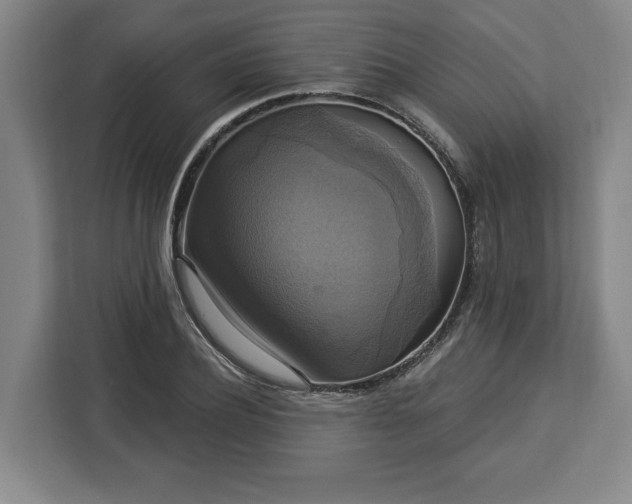 X0000112910932200908311234