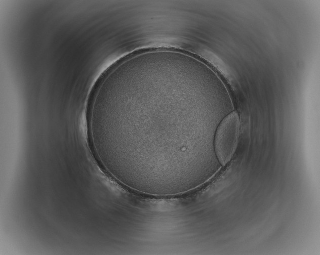 X0000112910936200908311234