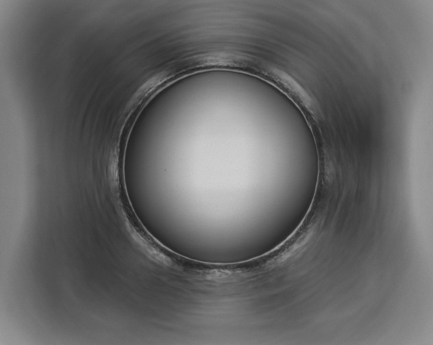 X0000112910938200908311234