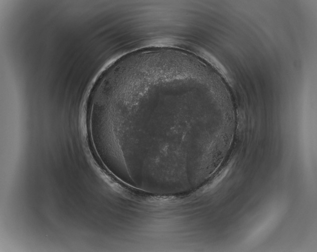 X0000112910939200908311234