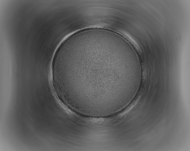 X0000112910940200908311234