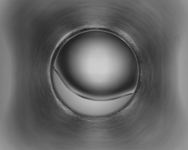 X0000112910942200908311234