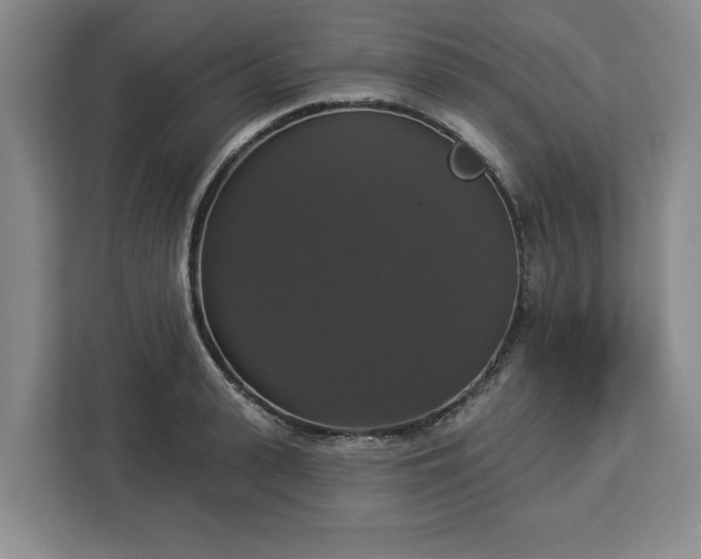 X0000112910943200908311234