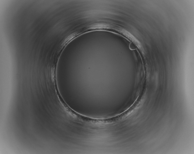 X0000112910945200908311234