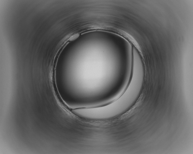 X0000112910946200908311234