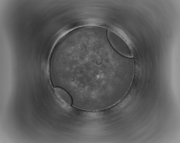 X0000112910948200908311234