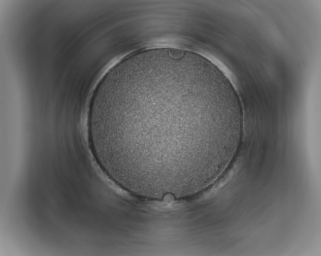 X0000112910949200908311234