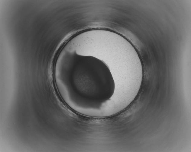 X0000112910950200908311234