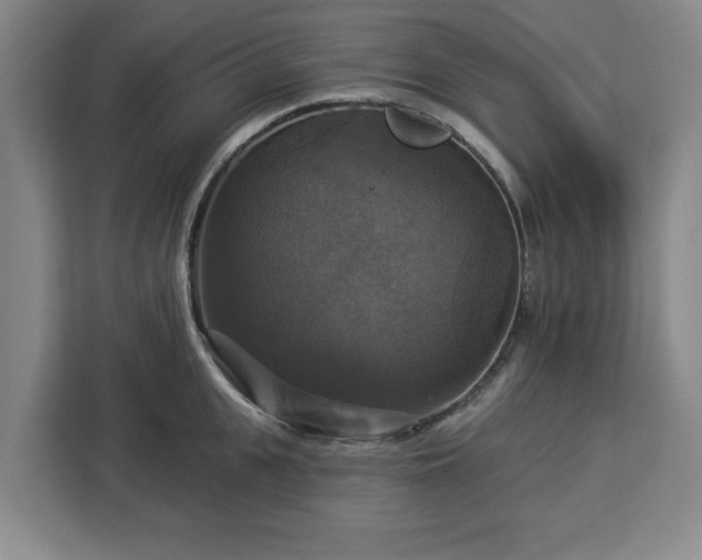 X0000112910951200908311234