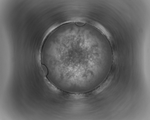 X0000112910952200908311234