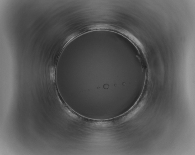 X0000112910953200908311234