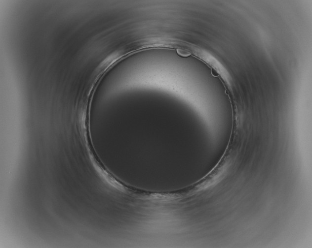 X0000112910954200908311234