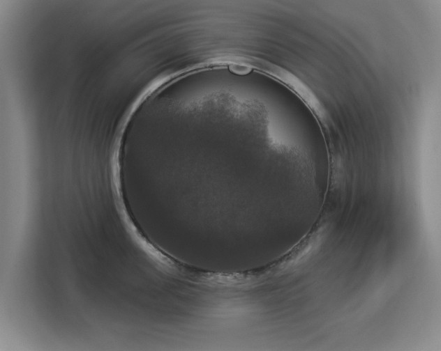 X0000112910955200908311234