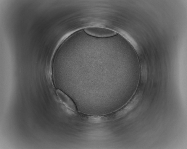 X0000112910956200908311234