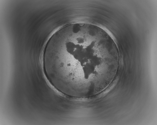 X0000112910957200908311234