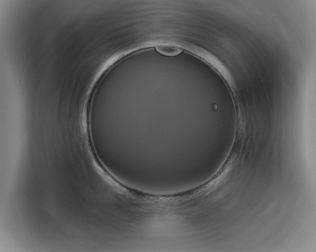 X0000112910958200908311234