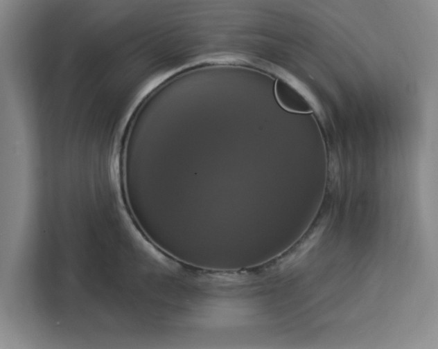 X0000112910959200908311234