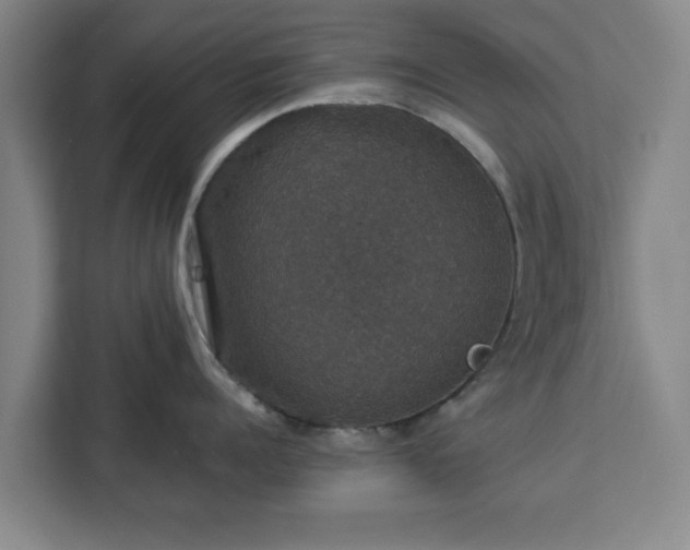 X0000112910960200908311234