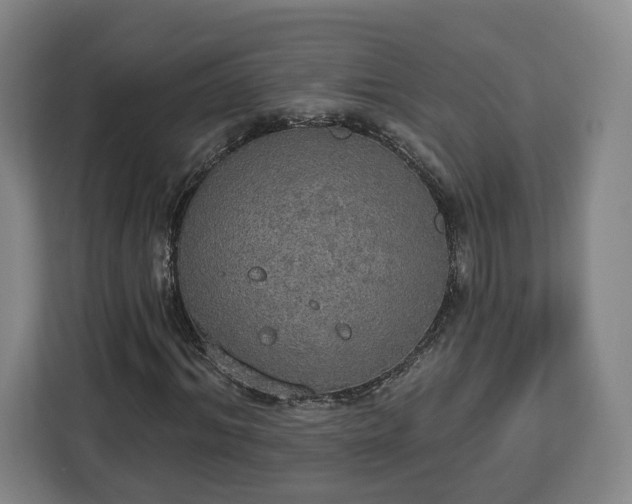 X0000112910964200908311234