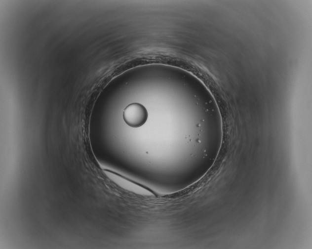 X0000112910965200908311234