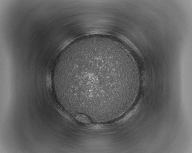 X0000112910969200908311234