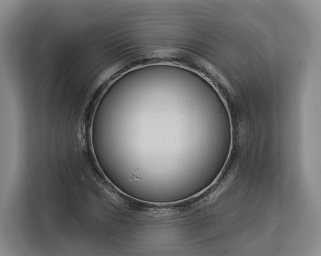 X0000112910970200908311234