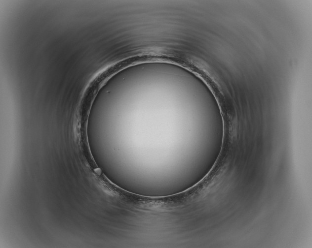 X0000112910971200908311234