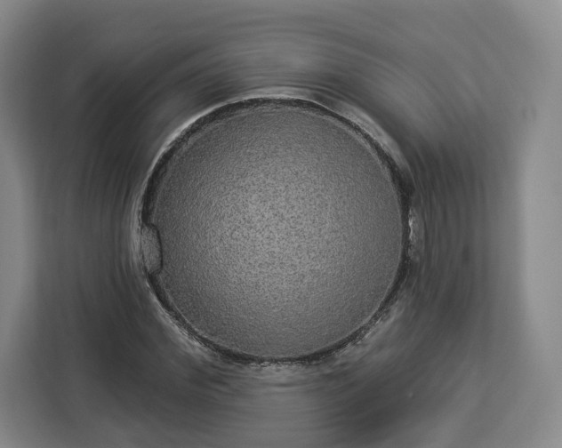 X0000112910972200908311234