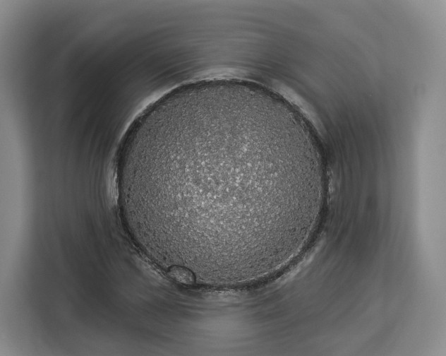 X0000112910973200908311234