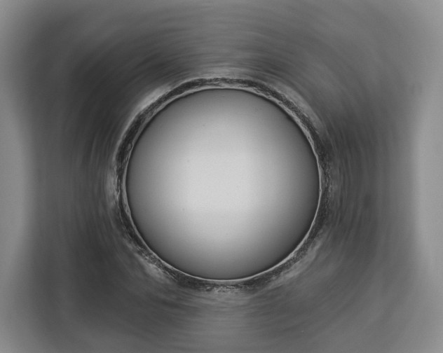 X0000112910974200908311234