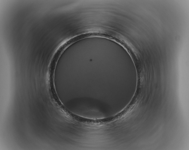 X0000112910975200908311234