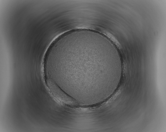 X0000112910976200908311234