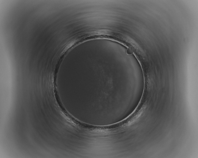 X0000112910977200908311234