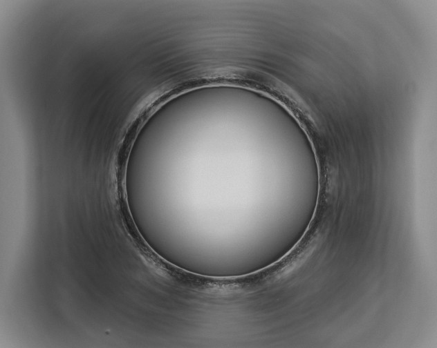 X0000112910978200908311234